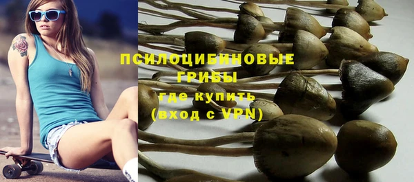 apvp Балахна