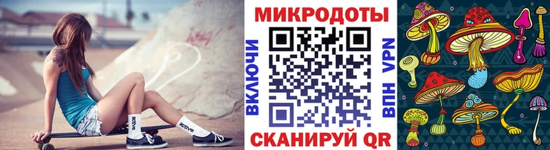 Галлюциногенные грибы прущие грибы Лесной